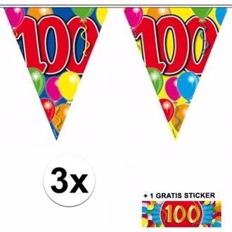 Shoppartners 3x vlaggenlijn 100 jaar met gratis sticker