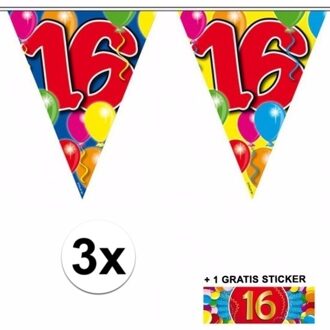 Shoppartners 3x vlaggenlijn 16 jaar met gratis sticker