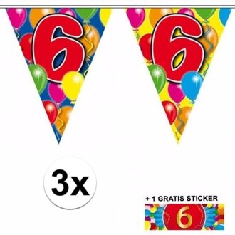 Shoppartners 3x vlaggenlijn 6 jaar met gratis sticker