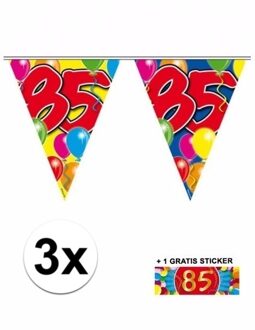 Shoppartners 3x vlaggenlijn 85 jaar met gratis sticker