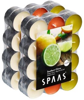 Shoppartners 48x Theelichten citrus geurkaarsen Southern Citrus 4,5 branduren - geurkaarsen Multikleur