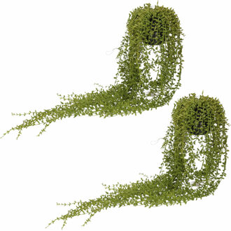 Shoppartners Bellatio Senecio/erwtenplant kunstplant - 3x - groen - 70 cm - in hangende pot