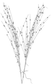 Shoppartners Glitter tak zilver 76 cm decoratie kunstbloemen/kunsttakken met warm witte LED lichtjes - Kunstbloemen Zilverkleurig