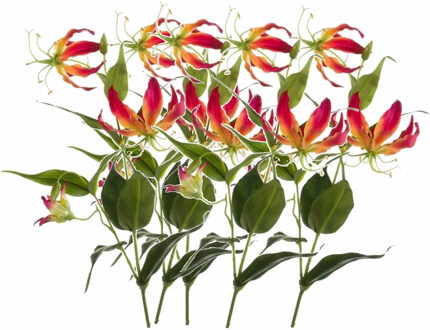 Shoppartners Gloriosa/Klimlelie kunstbloemen/kunstplanten - 5x - rood/geel - 75 cm