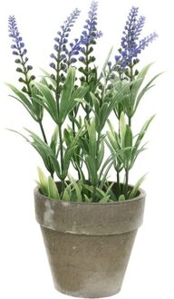 Shoppartners Groene/paarse Lavandula lavendel kunstplanten 25 cm met grijze beton pot - Kunstplanten