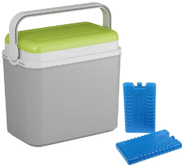 Shoppartners Koelbox grijs/groen - 10 liter - 30 x 19 x 28 cm - incl. 2 koelelementen