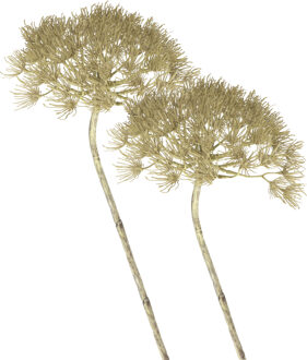 Shoppartners Kunstbloem Berenklauw/Heracleum - 2x - 80 cm - Kunstbloemen boeketten - kunsttak