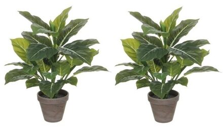 Shoppartners Mica Decorations Kunstplant - 2x - philodendron - groen - 49 cm