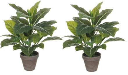 Shoppartners Mica Decorations Kunstplant - 4x stuks - philodendron - groen - 49 cm
