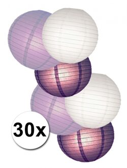 Shoppartners Pakket met wit en paarse lampionnen - Feestlampionnen Multikleur