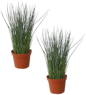 Shoppartners Set Van 2x Stuks Groene Grasplant Pennisetum Kunstplanten In Bruine Kunststof Pot 29 Cm - Kunstplanten