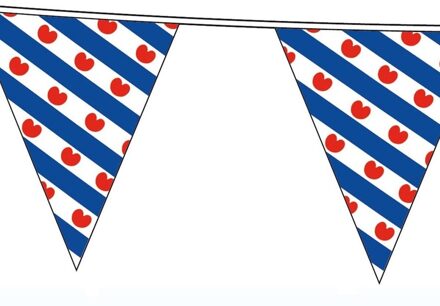 Shoppartners Vlaggenlijn Friesland - 12x - 10 meter - kunststof