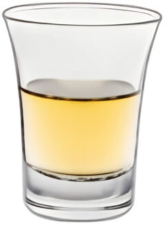 Shotglas - SAN kunststof - 2,5 cl - onbreekbaar - herbruikbaar - shotglazen