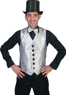 Show Gilet zilver toppers Zilver - Grijs