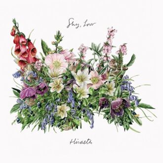 Shy Low - Hiraeth