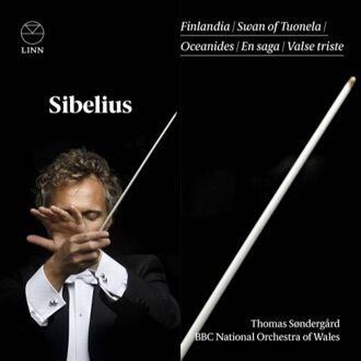 Sibelius: Finlandia/Swan of Tuonela/Oceanides/En Saga/...