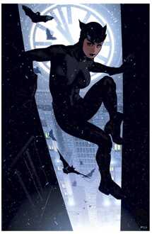 Sideshow Collectibles DC Comics Art Print Catwoman 41 x 61 cm - unframed