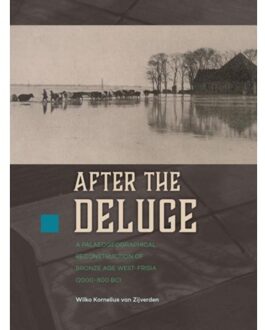 Sidestone Press After the deluge - Boek Wilko van Zijverden (9088904065)