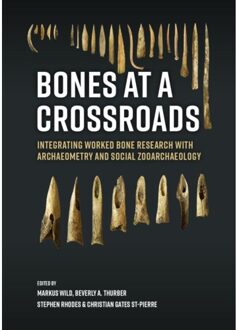 Sidestone Press Bones At A Crossroads
