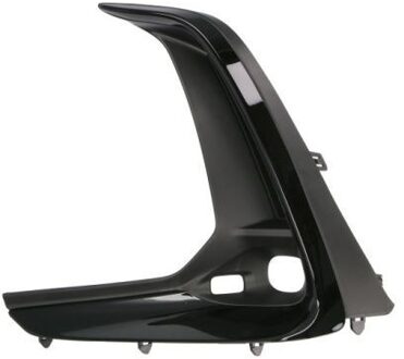 Sier- / beschermingspaneel, bumper 6502078268911P