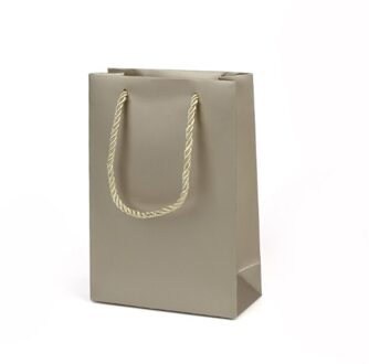 Sieraden Handtassen Opslag Papieren Zakken Met Handvatten Voor Business Party Wedding Festival Verpakking Bulk licht goud