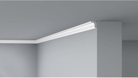 Sierlijst D0/200 25x20mmx2m 2st