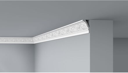 Sierlijst E25/200 2m*12