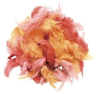 Sierveren - rood tinten - 10 gram - decoratie veren - hobby - knutselen Multi