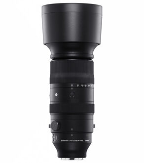 Sigma 60-600mm f/4.5-6.3 DG DN OS Sports L-Mount