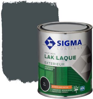 Sigma Exterieur Lak Ral7016 Zijdeglans 750ml