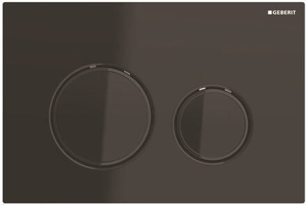 Sigma21 bedieningplaat met dualflush frontbediening voor toilet/urinoir 24.6x16.4cm zwartchroom / zwart