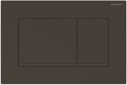 Sigma30 bedieningplaat met dualflush frontbediening voor toilet/urinoir 24.6x16.4cm mat zwart