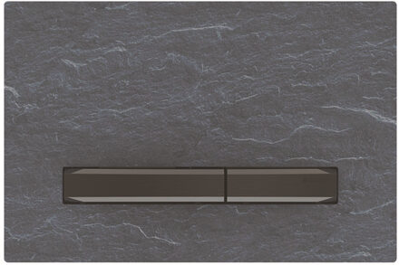 Sigma50 bedieningplaat met dualflush frontbediening voor toilet/urinoir 24.6x16.4cm mustang leisteen