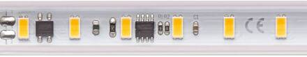 Sigor LED strip 5966 Set, 230V, 10m, IP65, 8W/m, 2.700 K wit