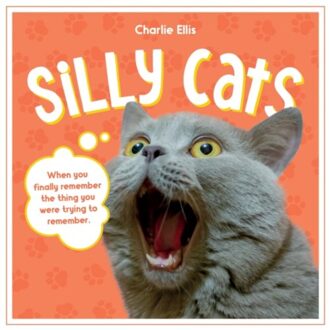 Silly Cats - Summersdale Publishers