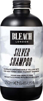 Silver Shampoo and Conditioner Duo