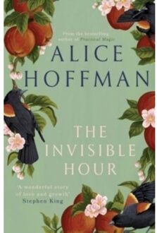 Simon & Schuster Uk The Invisible Hour - Alice Hoffman