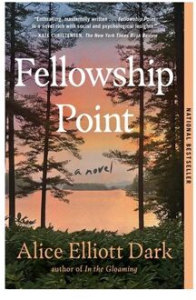 Simon & Schuster Us Fellowship Point - Alice Elliott Dark