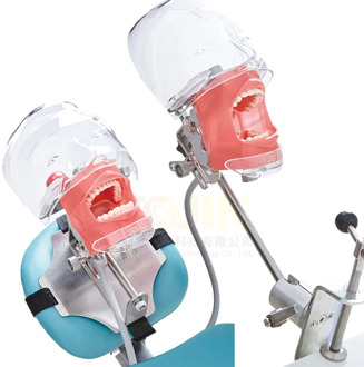 Simple Head Model Dental Simulator Phantom Head for Dentist Education Dentist Teaching /Head Model Phantom for Training Apparatu