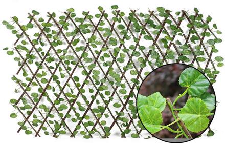 Simulatie Hek Hek Telescopische Hek Balkon Privacy Screen Tuin Hek Uv Bescherming Privacy Screen Tuin Hek 03