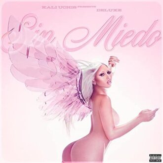 Sin Miedo (Del Amor Y Otros Demonios)