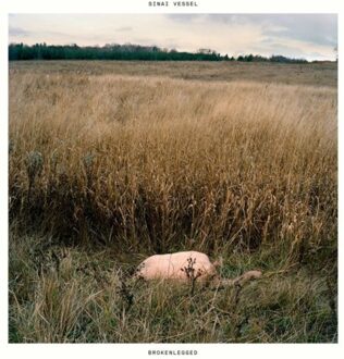 Sinai Vessel - Brokenlegged