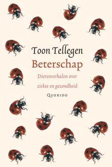 Singel Uitgeverijen Beterschap - Boek Toon Tellegen (9021434768)