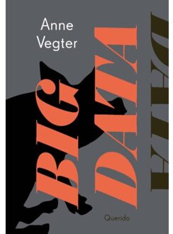 Singel Uitgeverijen Big Data