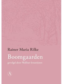 Singel Uitgeverijen Boomgaarden - Boek Rainer Maria Rilke (9025302696)