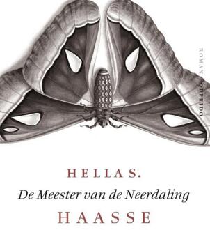 Singel Uitgeverijen De meester van de neerdaling - Boek Hella S. Haasse (9021455676)