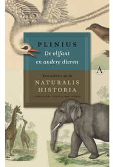 Singel Uitgeverijen De Olifant En Andere Dieren - Plinius