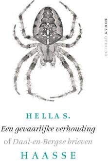 Singel Uitgeverijen Een gevaarlijke verhouding - Boek Hella S. Haasse (9021455633)