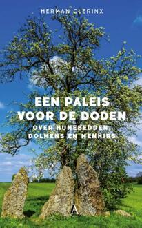 Singel Uitgeverijen Een paleis voor de doden - Boek Herman Clerinx (9025307108)