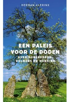 Singel Uitgeverijen Een paleis voor de doden - Boek Herman Clerinx (9025307108)